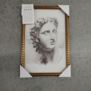 NWT - Gold Framed Classical Art Print by Sapna Shah